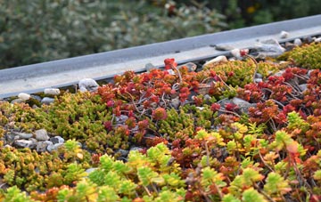 the cost of Cova green roof installation